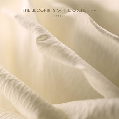 シングル/Petals/The Blooming White Orchestra／Wilson Trouve