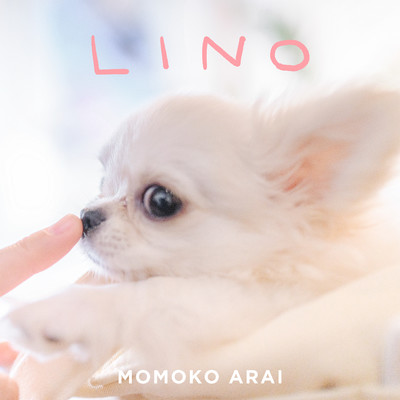 LINO/荒井桃子