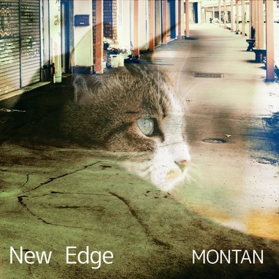 シングル/New Edge 13/MONTAN