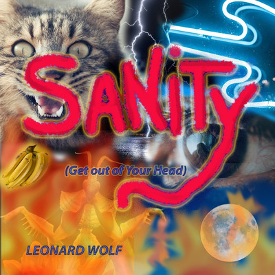 Sanity (Get out of Your Head)/Leonard Wolf