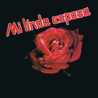 Mi Linda Esposa/Various Artists