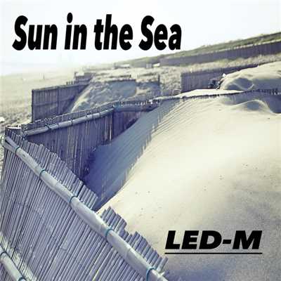 シングル/Sun in the sea/LED-M