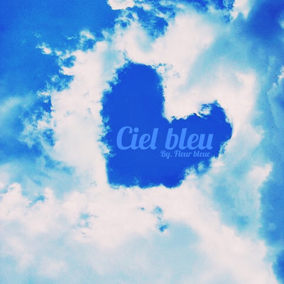 ciel bleu/Blue Flower