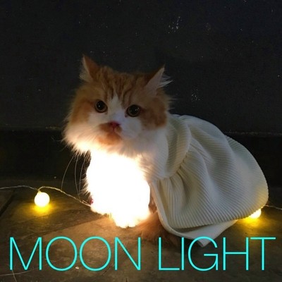 シングル/YELL (MOON LIGHT VERSION) [feat. MOON]/YELL