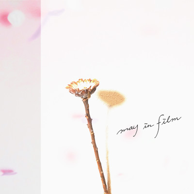 from here (flower letter Ver.)/may in film