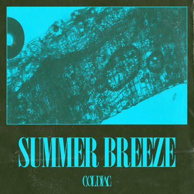 Summer Breeze/Coldiac