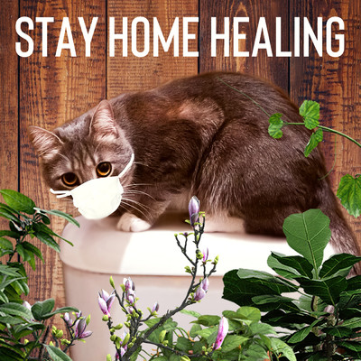 アルバム/Stay Home Healing 〜自宅でリラックス・ヒーリングBEST〜/Healing Energy