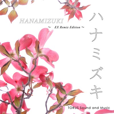 ハナミズキ (feat. 一青窈) [Cover] [EX Remix]/TORUS Sound and Music
