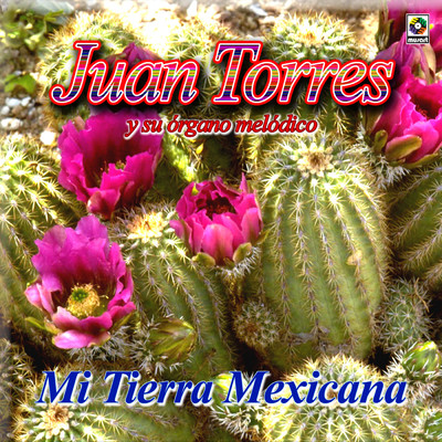 Mi Tierra Mexicana/Juan Torres