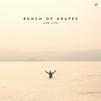 シングル/One Life/Bunch Of Grapes