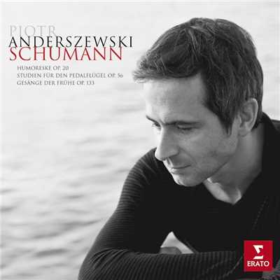 アルバム/Schumann : Piano works/Piotr Anderszewski
