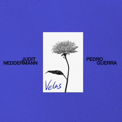 Velas/Judit Neddermann／Pedro Guerra