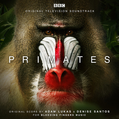 Barbary Macaque/Adam Lukas／Denise Santos