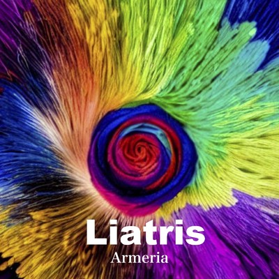 Litchi/Armeria