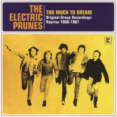アルバム/Too Much To Dream - Original Group Recordings: Reprise 1966-1967/The Electric Prunes