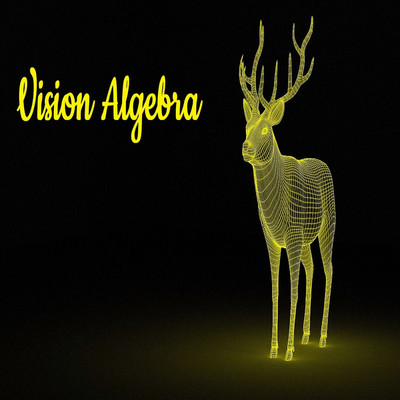 アルバム/Vision Algebra/Quadrigeminal Bodies