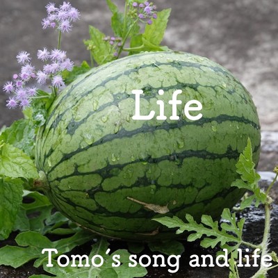 Life/Tomo's song and life