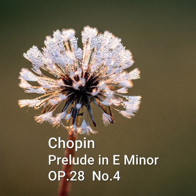 ショパン Prelude Op.28, No.4/春原 政浩