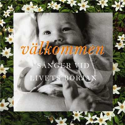 Valkommen/Various Artists