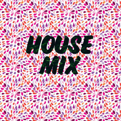 アルバム/House Mix/Endang Wijayanti