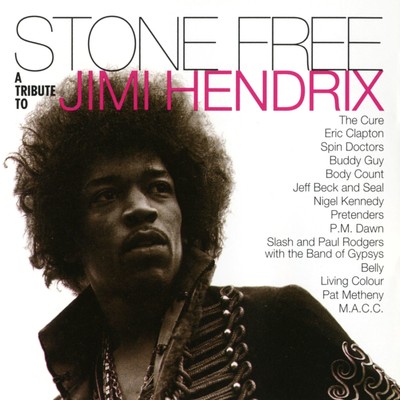 Jimi Hendrix Tribute