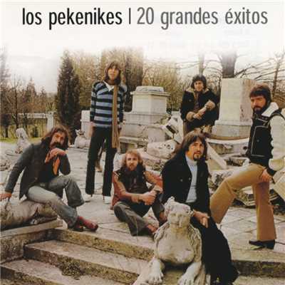アルバム/20 Grandes exitos/Los Pekenikes