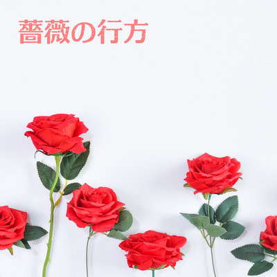 アルバム/薔薇の行方/ファインケアマン