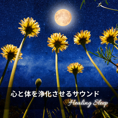 アルバム/心と体を浄化させるサウンド ～Healing Sleep～/Dream Star