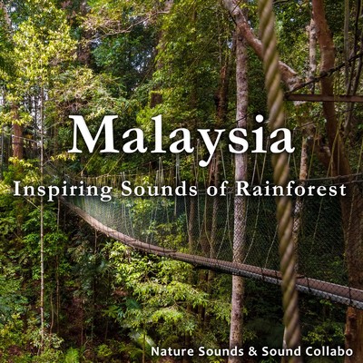 アルバム/マレーシア 〜熱帯雨林の一日〜/自然音 & サウンド・コラボ