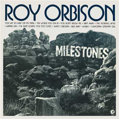 You Lay So Easy On My Mind/Roy Orbison