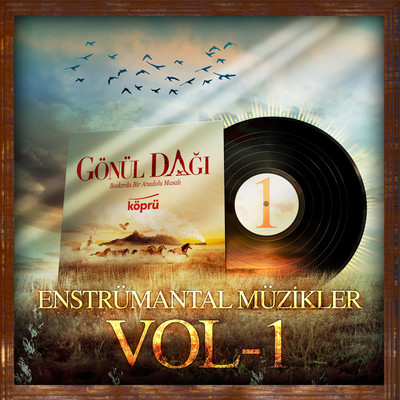 Gonul Dagi Enstrumantal Muzikler Vol 1/Various Artists