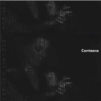 アルバム/Cantaora/Carmen Linares