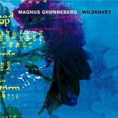 アルバム/Wildenvey/Magnus Gronneberg