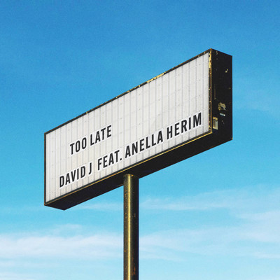 Too Late feat.Anella Herim/David J