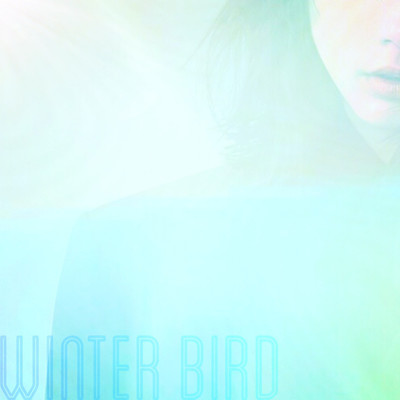 Winter Bird/KENGO HONDA