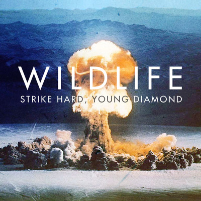 アルバム/Strike Hard Young Diamond/Wildlife