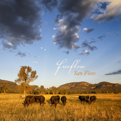 シングル/Freeflow/San Fiore