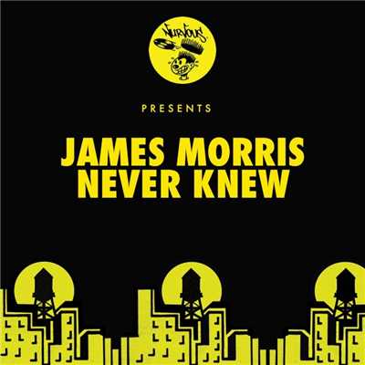シングル/Never Knew (Bumblee Remix)/James Morris