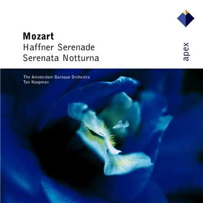 シングル/Serenade No. 6 in D Major, K. 239 ”Serenata Notturna”: III. Rondo. Allegretto/Ton Koopman & Amsterdam Baroque Orchestra