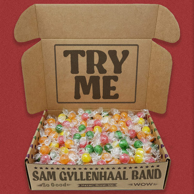 シングル/Try Me/Sam Gyllenhaal Band
