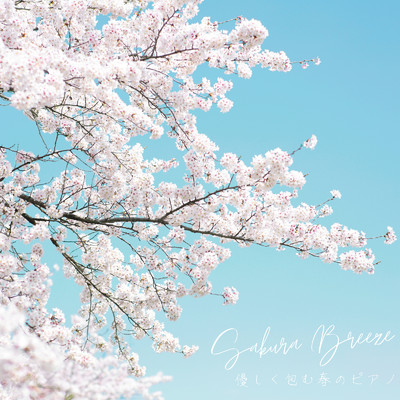 アルバム/Sakura Breeze - 優しく包む春のピアノ/Relaxing BGM Project
