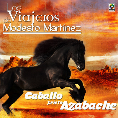 Caballo Prieto Azabache/Los Viajeros de Modesto Martinez