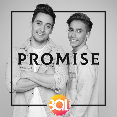 シングル/Promise/BQL