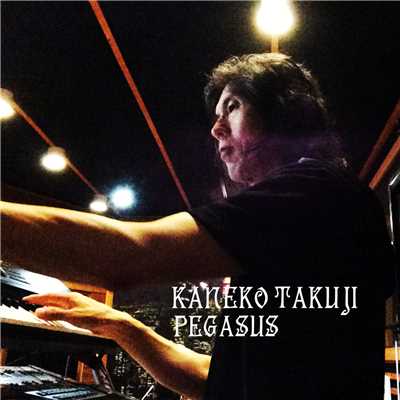 アルバム/PEGASUS/Kaneko Takuji