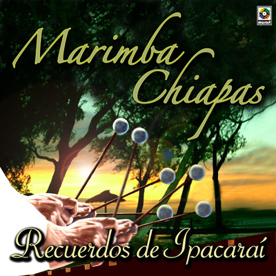 アルバム/Recuerdos De Ipacarai/Marimba Chiapas