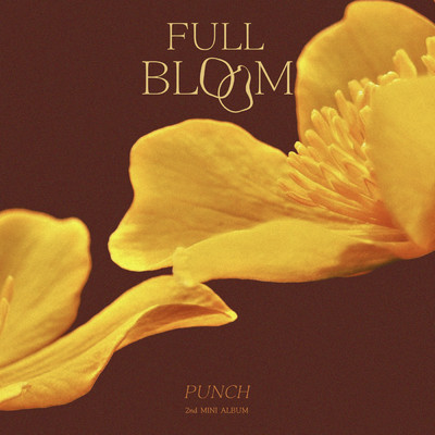 アルバム/Full Bloom/Punch