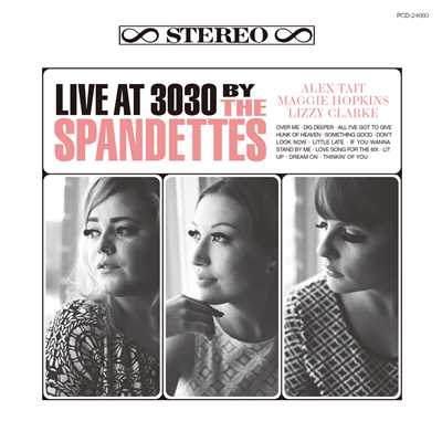 All I've Got to Give/THE SPANDETTES