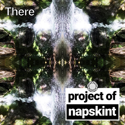 アルバム/There/project of napskint
