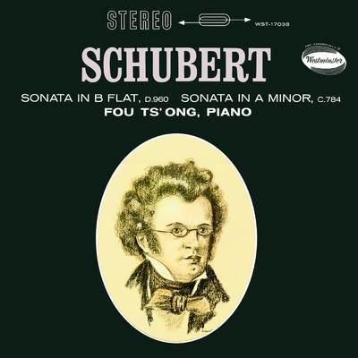 Schubert: Piano Sonata No. 14 in A Minor, D. 784: II. Andante/フー・ツォン