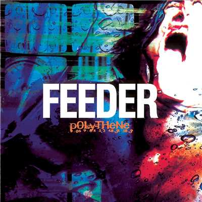 アルバム/Polythene/Feeder